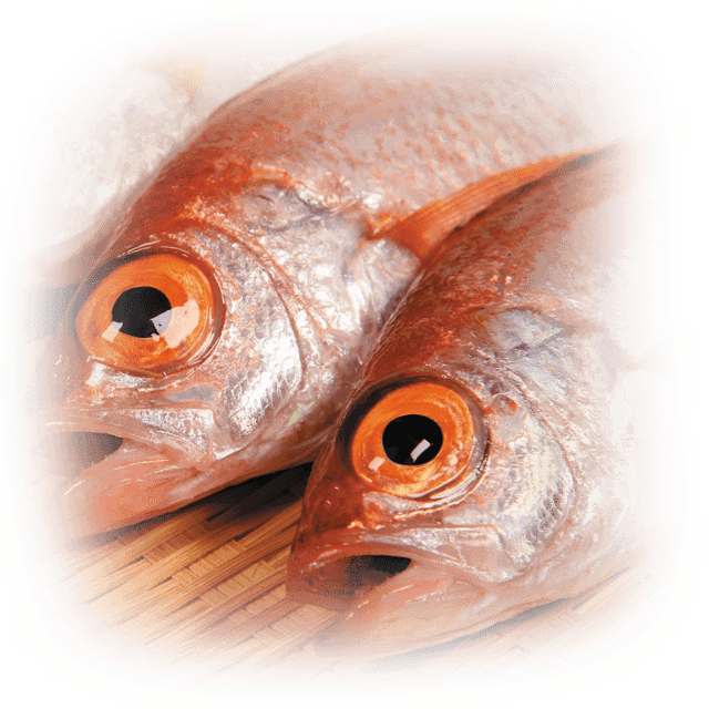 のど黒とは別名アカムツ、お寿司や海鮮丼で特に人気の魚で上品な脂が特徴で「白身のトロ」とも言われる高級魚です。
